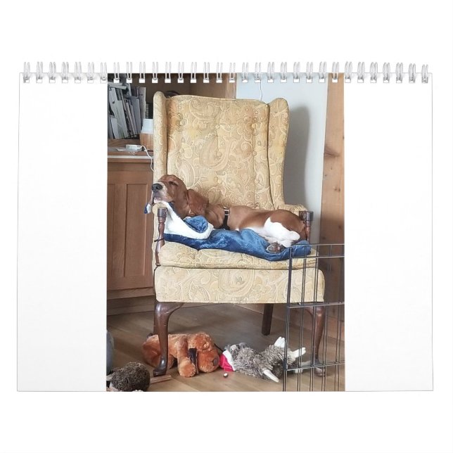 Calendário do leilão de taxa de juro (Capa)
