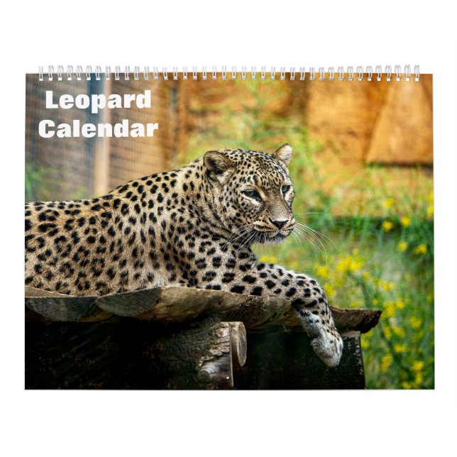 Calendário do Leopardo 2027 (Capa)