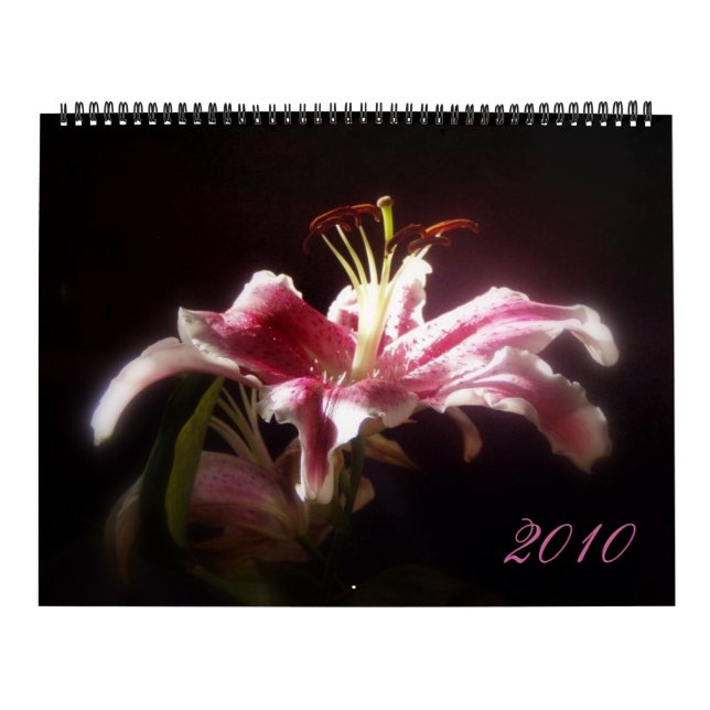Calendário do lírio do Stargazer (Capa)