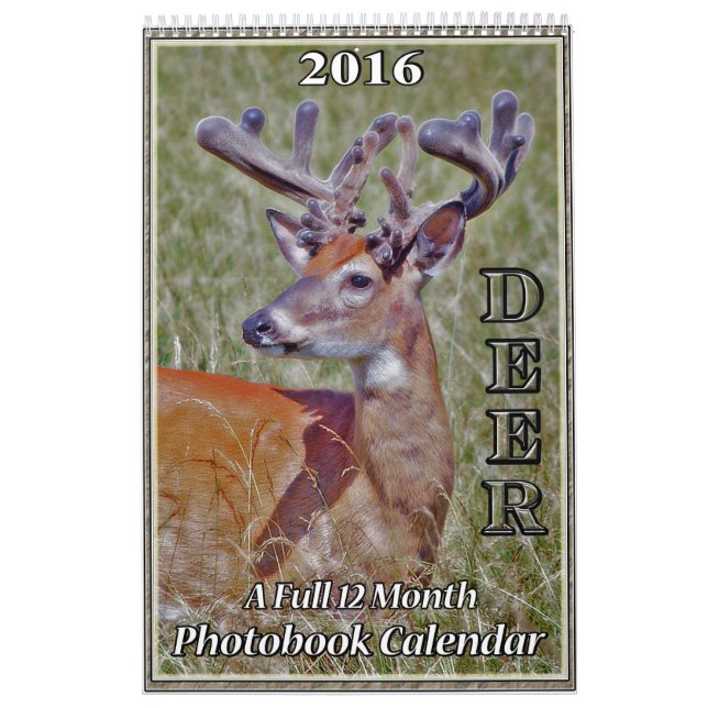 Calendário do Livro de Fotografias do Deer2 (Capa)