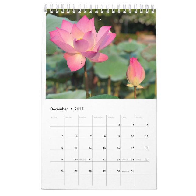 Calendário do Lotus Rosa (Dez 2027)