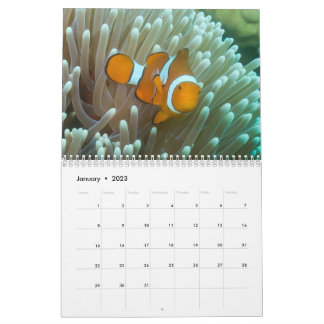 Calendário do Mar de Coral 2023
