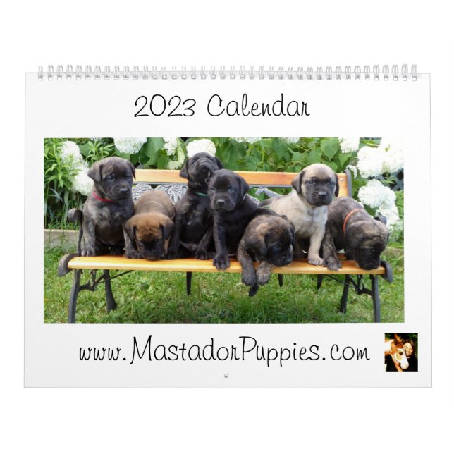 Calendário do Mastador Puppy 2023 (Capa)