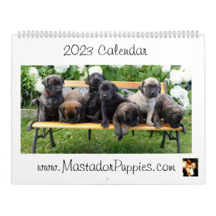 Calendário do Mastador Puppy 2023