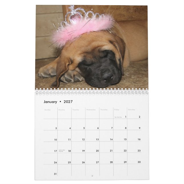 Calendário do Mastiff do sono (Jan 2027)