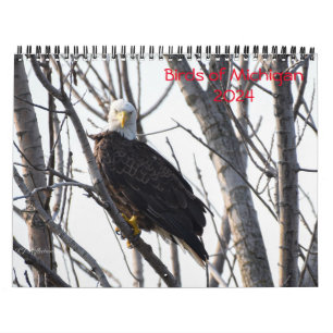 Calendário do Michigan Birds 2024