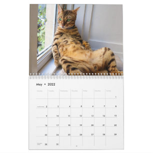 Calendário do Missenell 2022