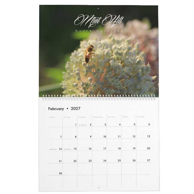 Calendário do monte da hortelã (Fev 2027)