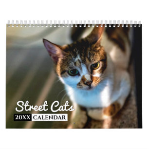 Calendário do Muro de Fotos 2022 do Street Cats