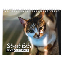 Calendário do Muro de Fotos de Gatos de Rua