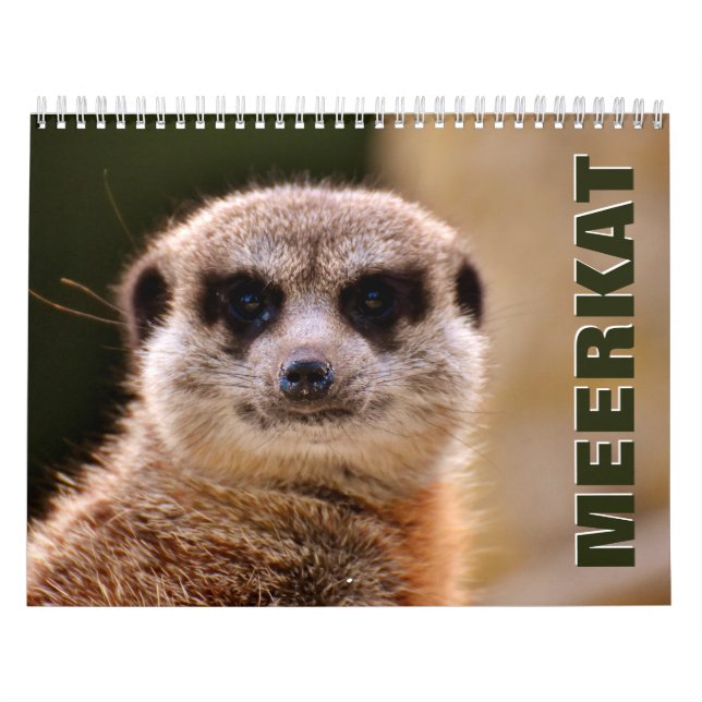 Calendário do Muro de Meerkats (Capa)