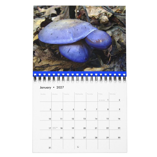Calendário do Mushroom Rainbow 2013 (Jan 2027)