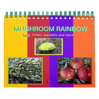 Calendário do Mushroom Rainbow 2013