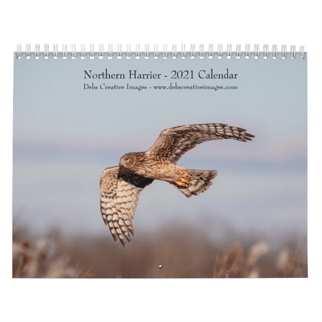 Calendário do Norte Harrier 2021 (Capa)