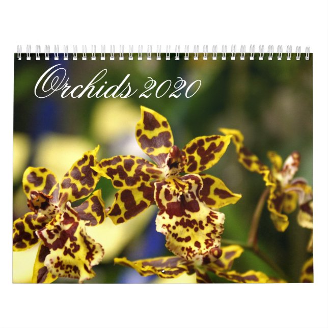 Calendário do Orchid Flowers 2020 (Capa)