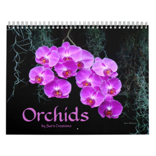 Calendário do Orchids