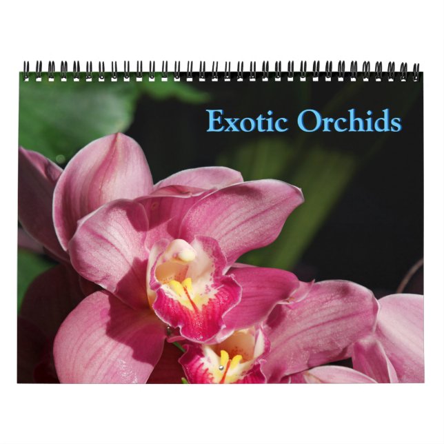 Calendário do Orchids (Capa)