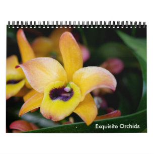Calendário do Orchids refinado