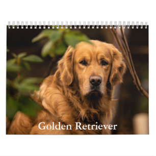 Calendário do ouro Retriever