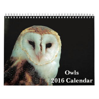 Calendário do Owls 2016