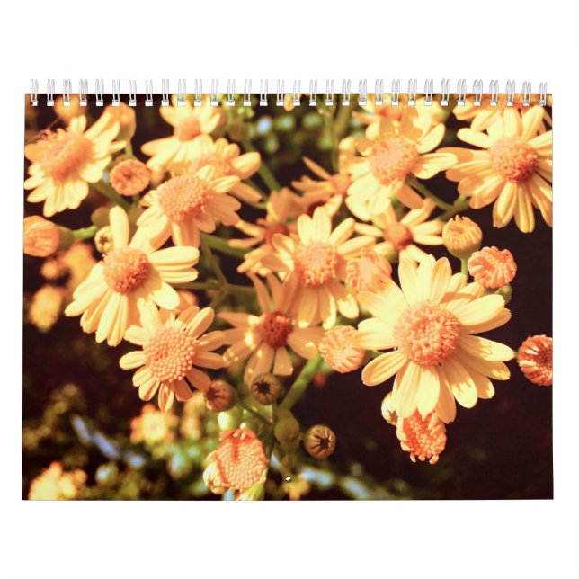 Calendário do País de fazenda (Capa)