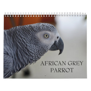 Calendário do papagaio do cinza africano de Congo