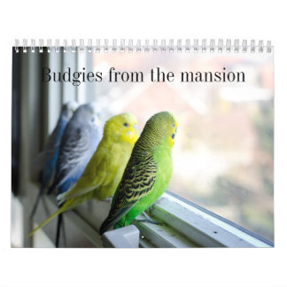 Calendário do Parakeet