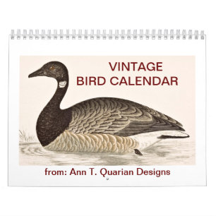 Calendário do pássaro do vintage - 2013