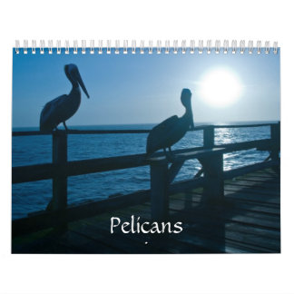 Calendário do pelicano