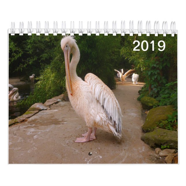 Calendário do pelicano e do pavão (Capa)