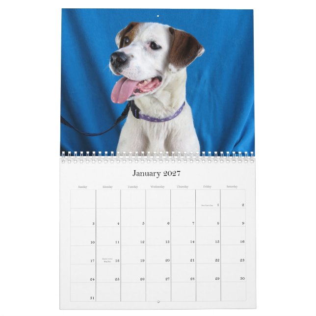 Calendário Do perigo às mãos seguras (Jan 2027)
