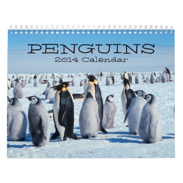 Calendário do pinguim (Capa)