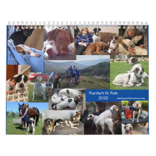 Calendário do Pointer & Pals PointersRescue Org 2
