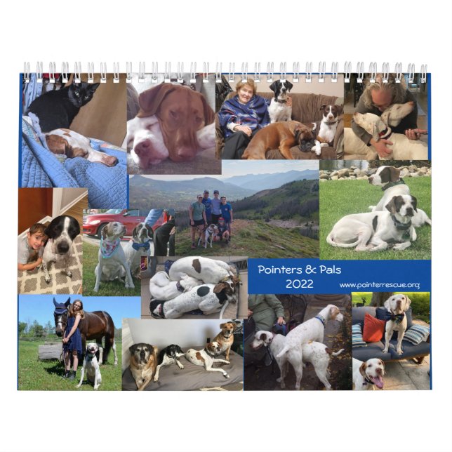 Calendário do Pointer & Pals PointersRescue Org 20 (Capa)