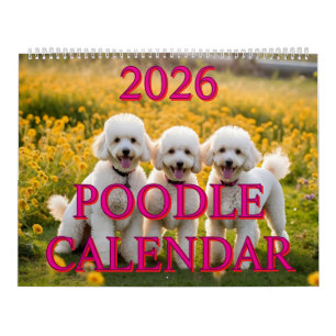 CALENDÁRIO DO POÓDLE 2026