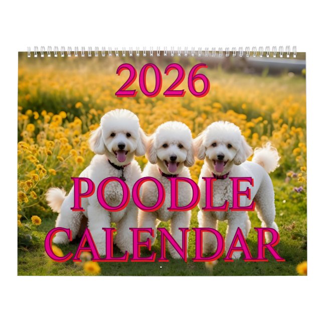 CALENDÁRIO DO POÓDLE 2026 (Capa)