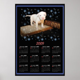 Calendário do poster de 2009 paredes de Luna