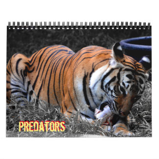 Calendário do Predador
