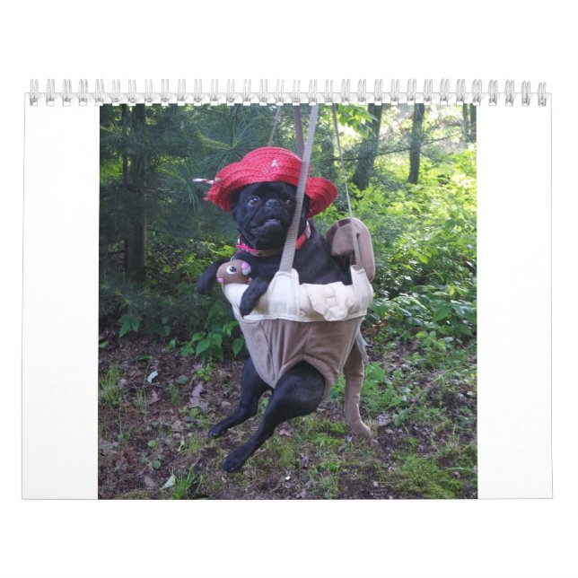 calendário do pug (Capa)