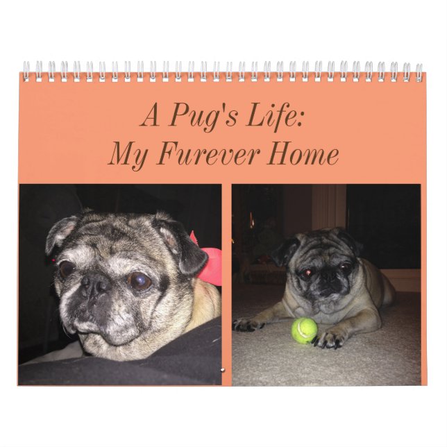 Calendário do Pug (Capa)