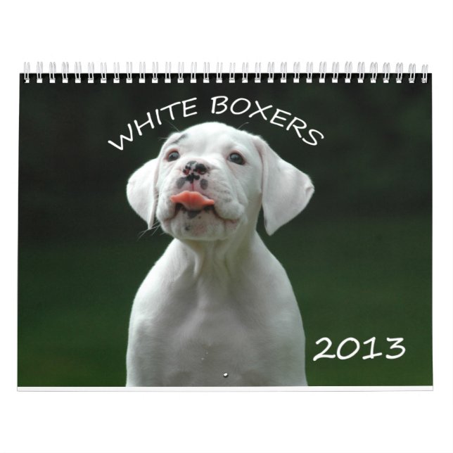 Calendário do pugilista de 2013 brancos (Capa)
