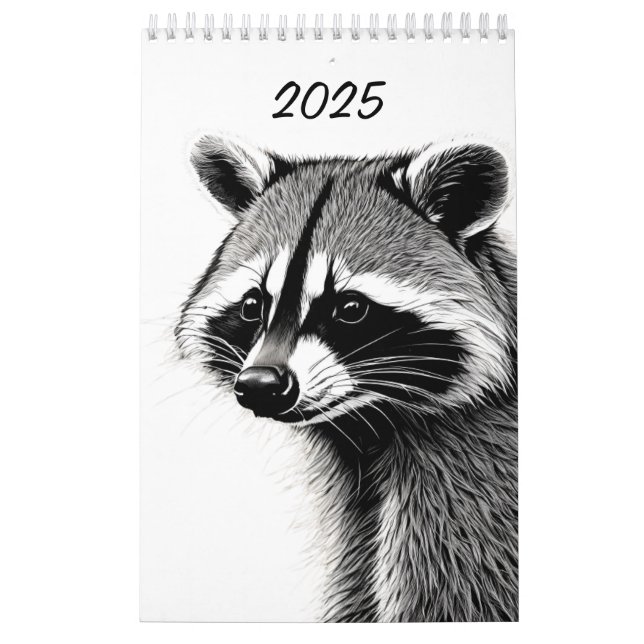 Calendário do Raccoon (Capa)