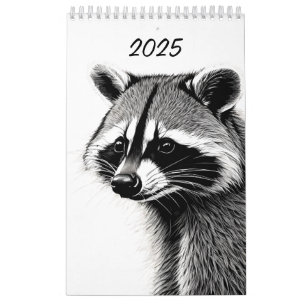 Calendário do Raccoon
