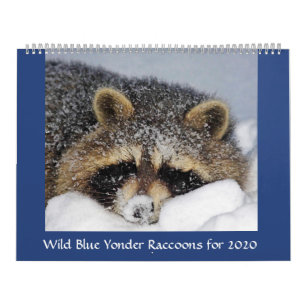 Calendário do Raccoon 2020 da Yonder Azul Selvage