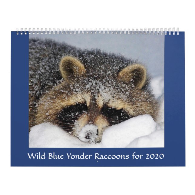 Calendário do Raccoon 2020 da Yonder Azul Selvagem (Capa)