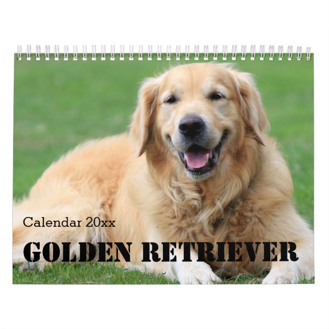 Calendário do Recuperador de ouros 2026 (Capa)