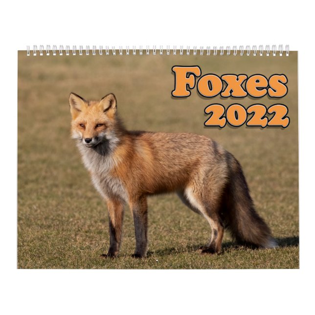 Calendário do Red Fox (Capa)