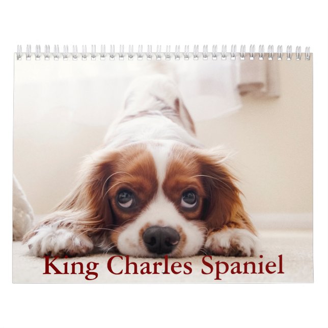 Calendário do Rei Charles Spaniel (Capa)