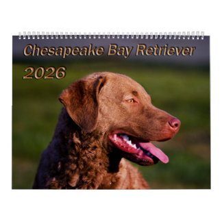 Calendário do Retriever da Baía de Chesapeake 2026