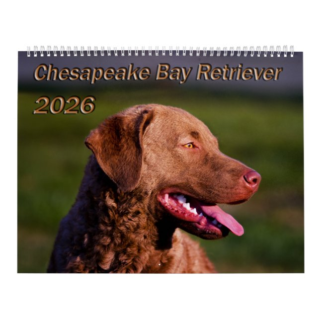 Calendário do Retriever da Baía de Chesapeake 2026 (Capa)